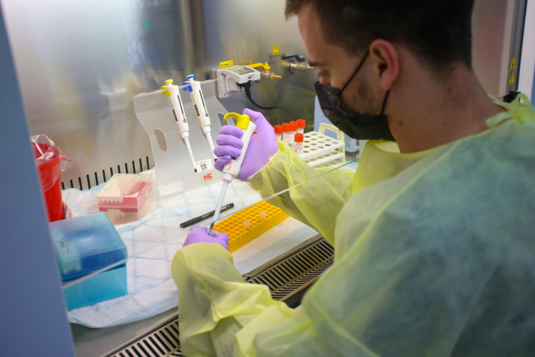 The Anatomical Pathology Department